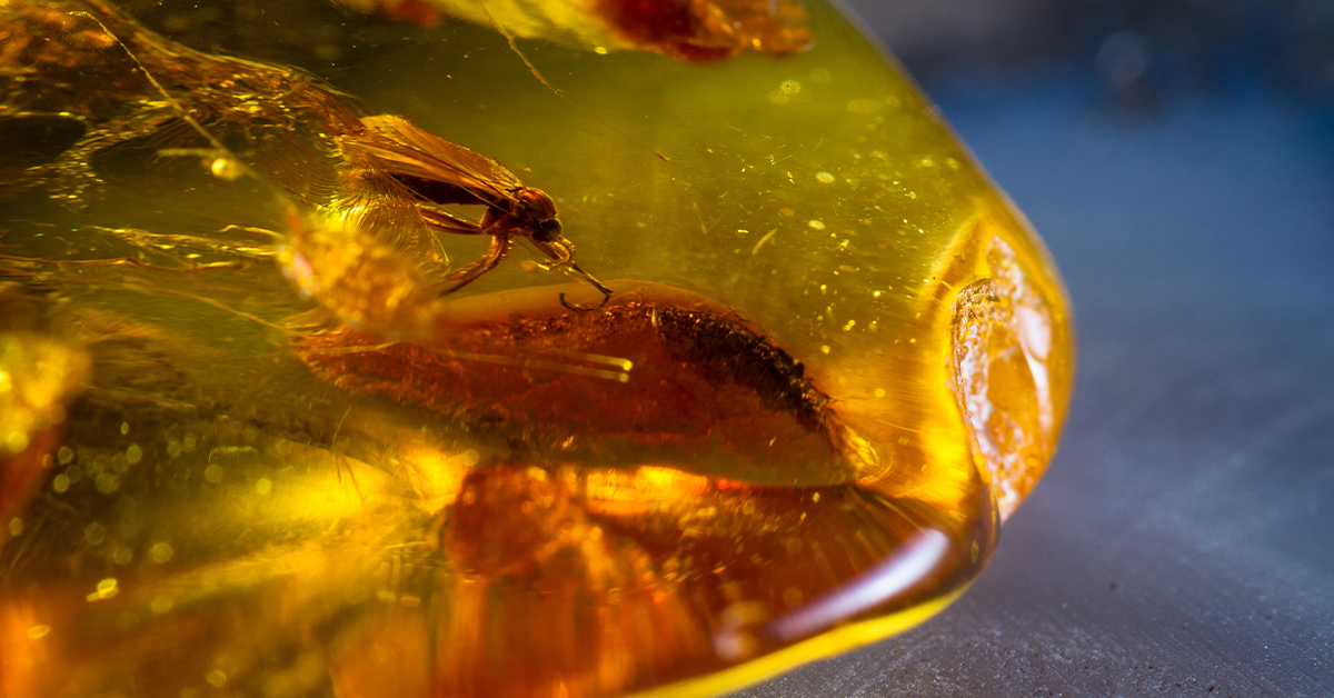 amber