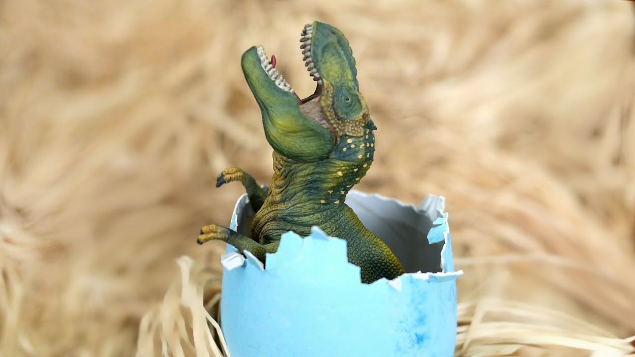 dino
